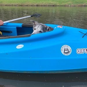 Meet your Posher, Chris